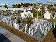 `Garden Whispers` won the first prize at the Royal Garden Festival in the UK