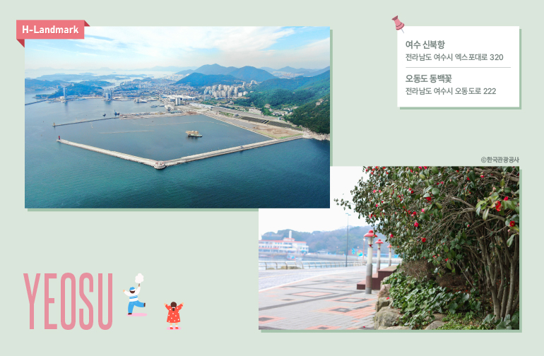 여수 여수 신북항 & 오동도 동백꽃 위치 오동도: 전라남도 여수시 오동도로 222 여수 신북항: 전라남도 여수시 엑스포대로 320