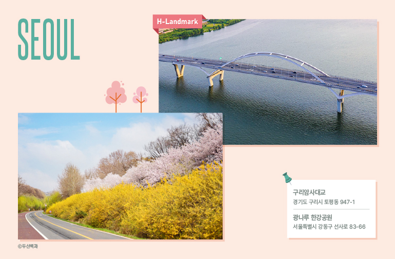서울 서울 광나루 한강공원 & 구리암사대교 위치 광나루 한강공원: 서울특별시 강동구 선사로 83-66 구리암사대교: 경기도 구리시 토평동 947-1
