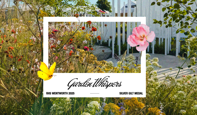 Garden Whispers RHS WENTWORTH 2025 SILVER GILT MEDAL