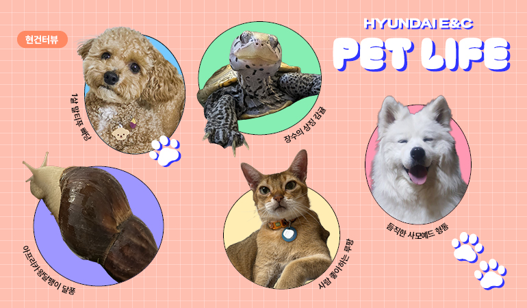 hyundai e&c pet life 1살 말티푸 빠당 아프리카왕달팽이 달퐁 장수의 상징 감귤 사람 좋아하는 루팡 듬직한 사모예드 형통